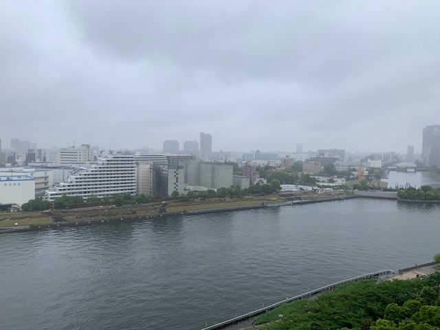 霧雨の朝で肌寒い夜明け「無限の可能性」