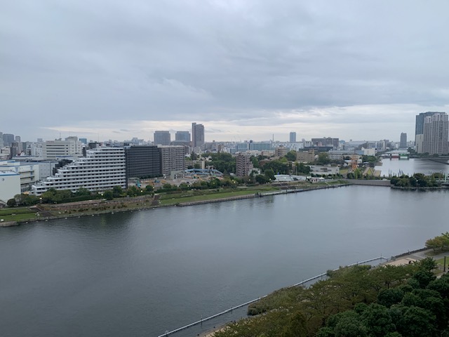 珍しく賑やかな 烏の声「できる時にやってみよう」