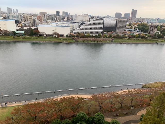 紅葉も進み穏やかな朝「時にはしないこと」