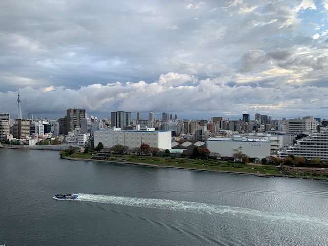 青空が見えてきました「適当に手抜きを」