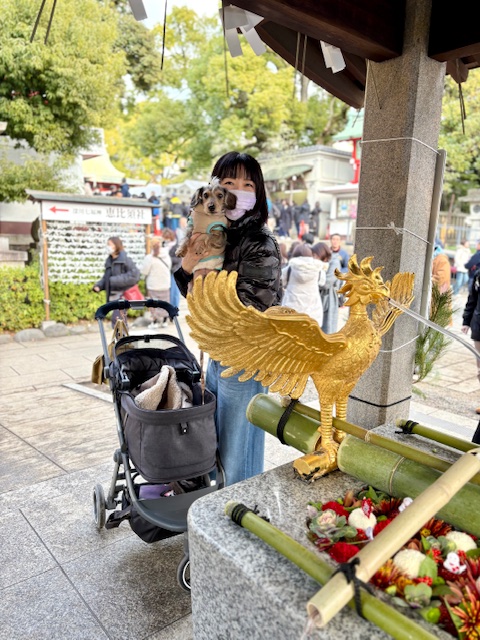 今日は七福神の恵比寿様へ