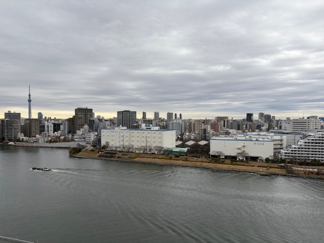 曇り空の朝「疲れて来たら断捨離」